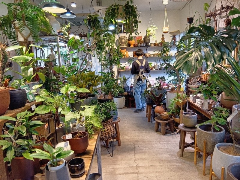 記者が行く：街や人の心 緑で潤す 観葉植物専門店「OSLO」＝大阪市北区