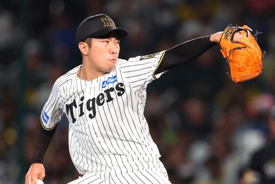 【阪神－ソフトバンク】力投する阪神の石井大智＝阪神甲子園球場で2025年10月29日、前田梨里子撮影