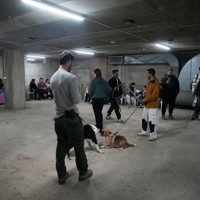 シェルターに避難する人々＝イスラエル中部テルアビブで2026年2月28日、AP