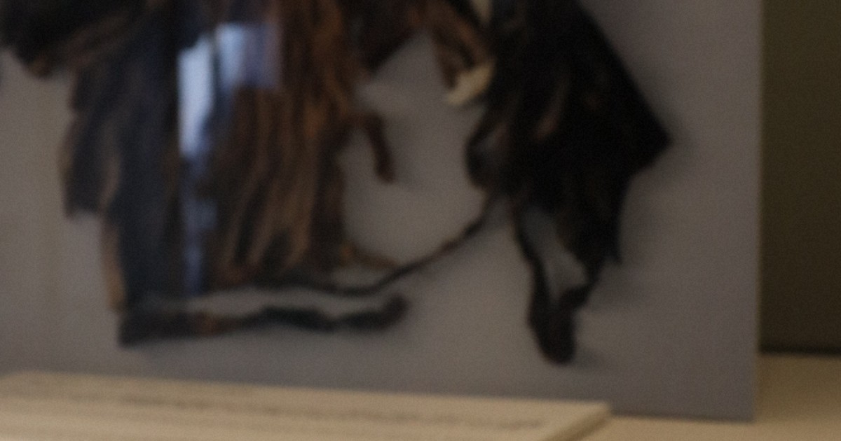 「妹の骨は…」広島原爆で301人犠牲　高等女学校の被害伝える企画展