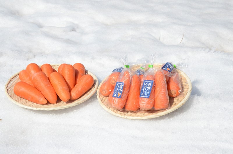 雪で熟成、甘み増し 「雪下にんじん」が収穫最盛期 新潟・阿賀 | 毎日新聞