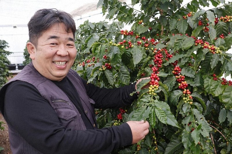 寒冷地でコーヒー栽培 上田のプラスチック会社 挑戦 25年に商品化 無