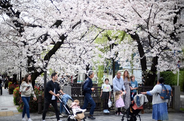 Japan Launches JESTA Tourist Controls