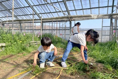 生い茂った雑草をむしる子どもたち。あまりの暑さに、上半身は下着姿だ＝愛知県内で2026年2月23日午後2時12分、町田結子撮影