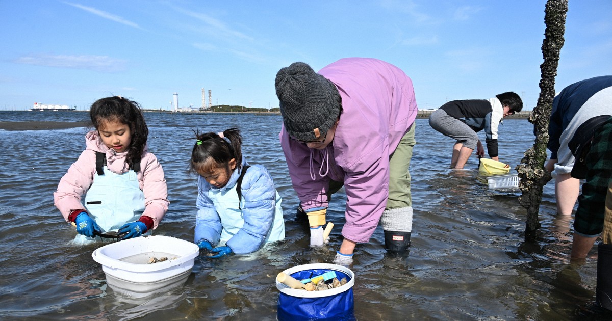 Easy Japanese news in translation: Clam digging season starts at beach in Chiba Prefecture