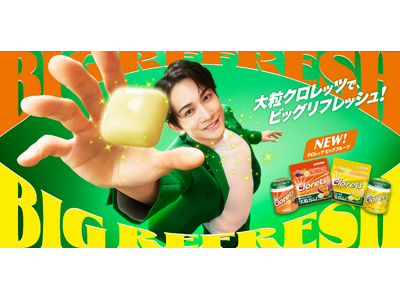 MOGU クロレッツ ビーズクッション フィットチェア 町田啓太