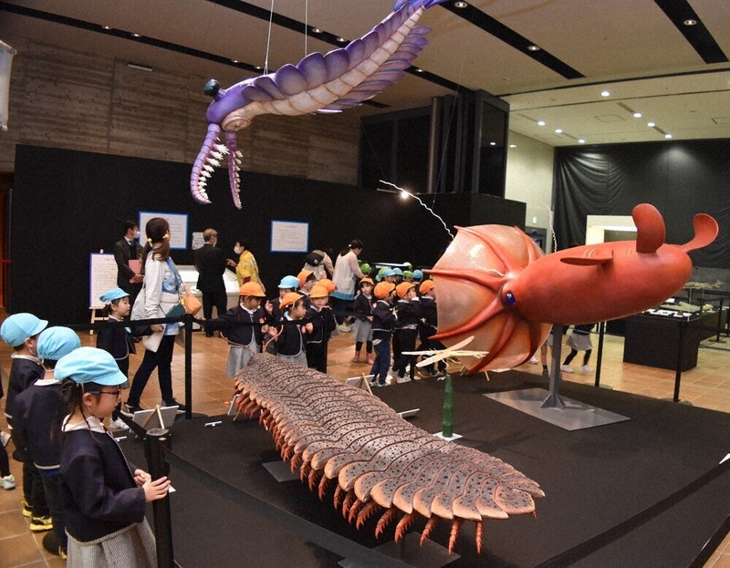 実物大復元模型にびっくり!? 「化石のふしぎ展」 いのちのたび博物館