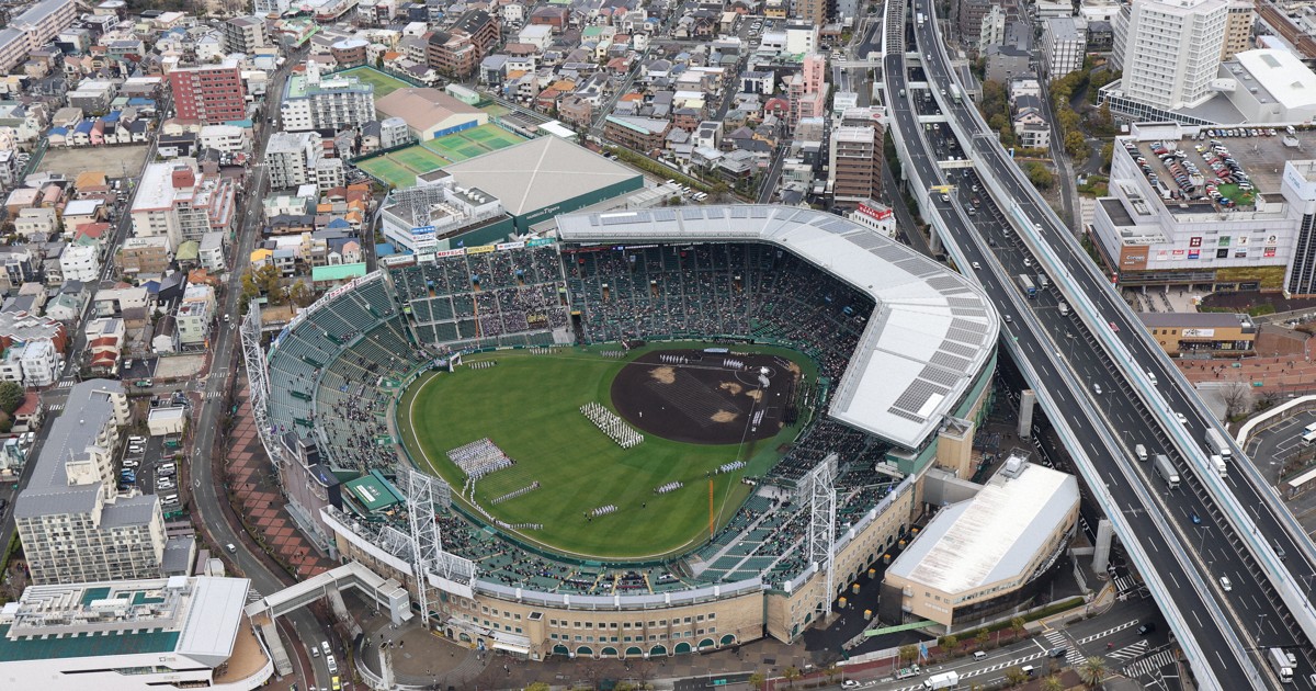 ＜1分で解説＞センバツ高校野球で指名打者（DH）制が導入