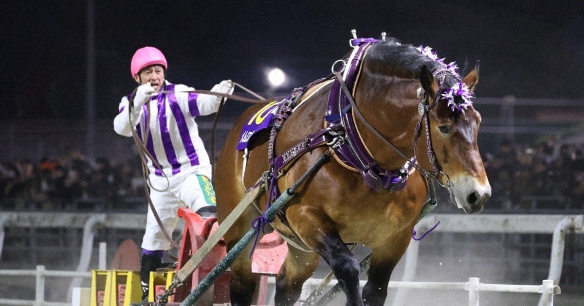 ばんえい競馬、今年度の全日程が終了　売り上げ過去最高ならず