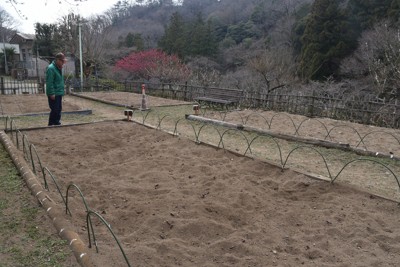 シカの食害でチューリップの球根が被害に遭ったという吾妻公園の花壇＝群馬県桐生市宮本町で2026年3月23日午前11時1分、遠山和彦撮影