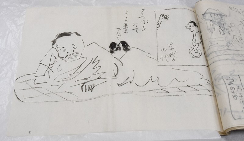 正岡 子規遺稿 松山市、正岡子規の資料1247点購入 妹・律の見合い写真？も [写真特集1
