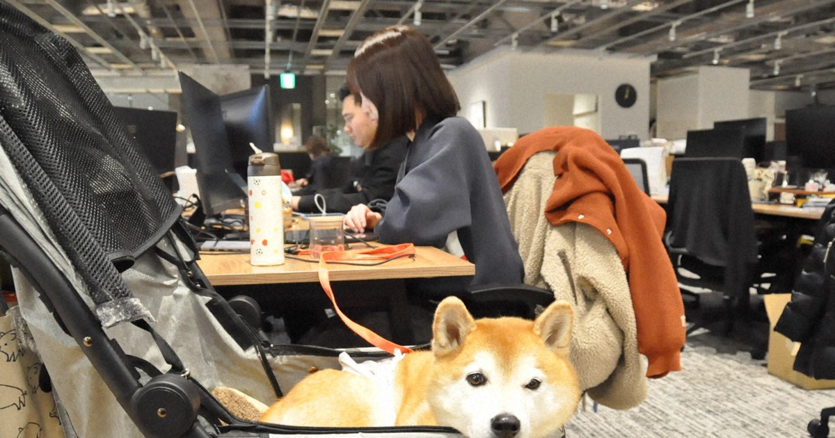 愛犬の「病気休暇」「忌引」…　ペットのための福利厚生広がる