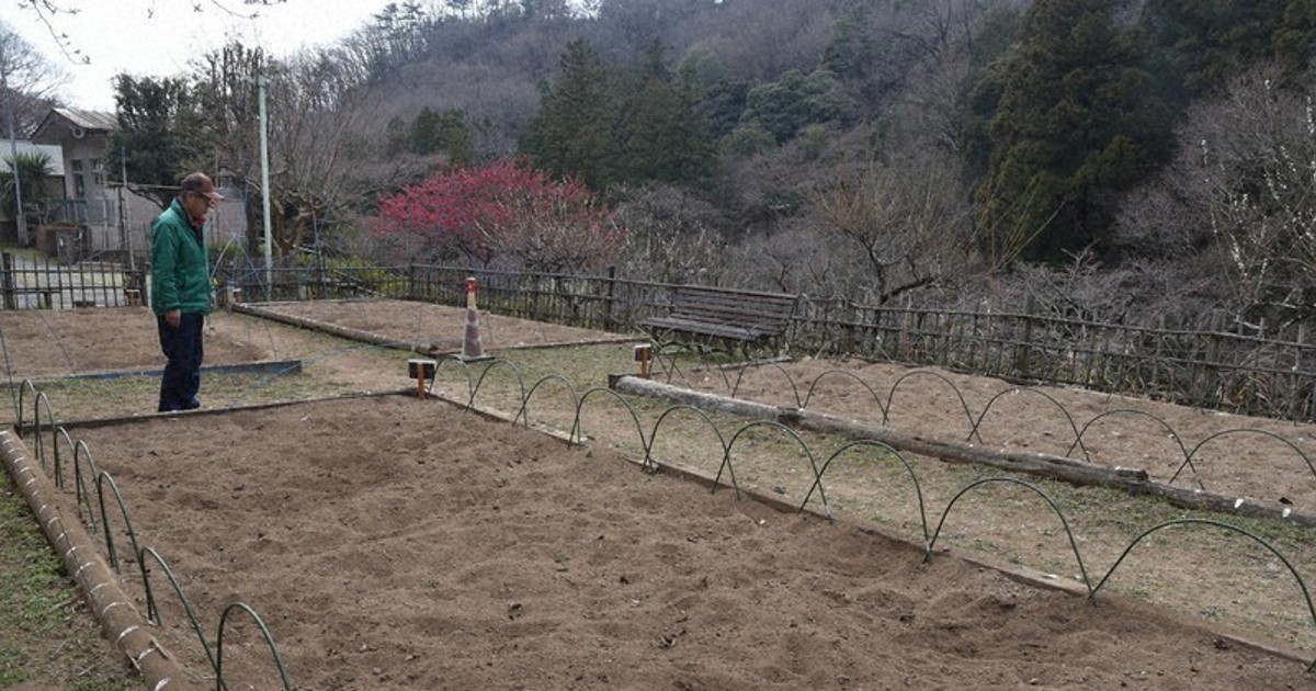 Deer suspected after 10,000 tulip bulbs destroyed at park in Japan's Gunma Pref.