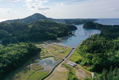 宮城県の旧・唐桑町（現・気仙沼市）の舞根湾。下に見えているのは震災後に生まれた干潟と湿地＝畠山信さん提供