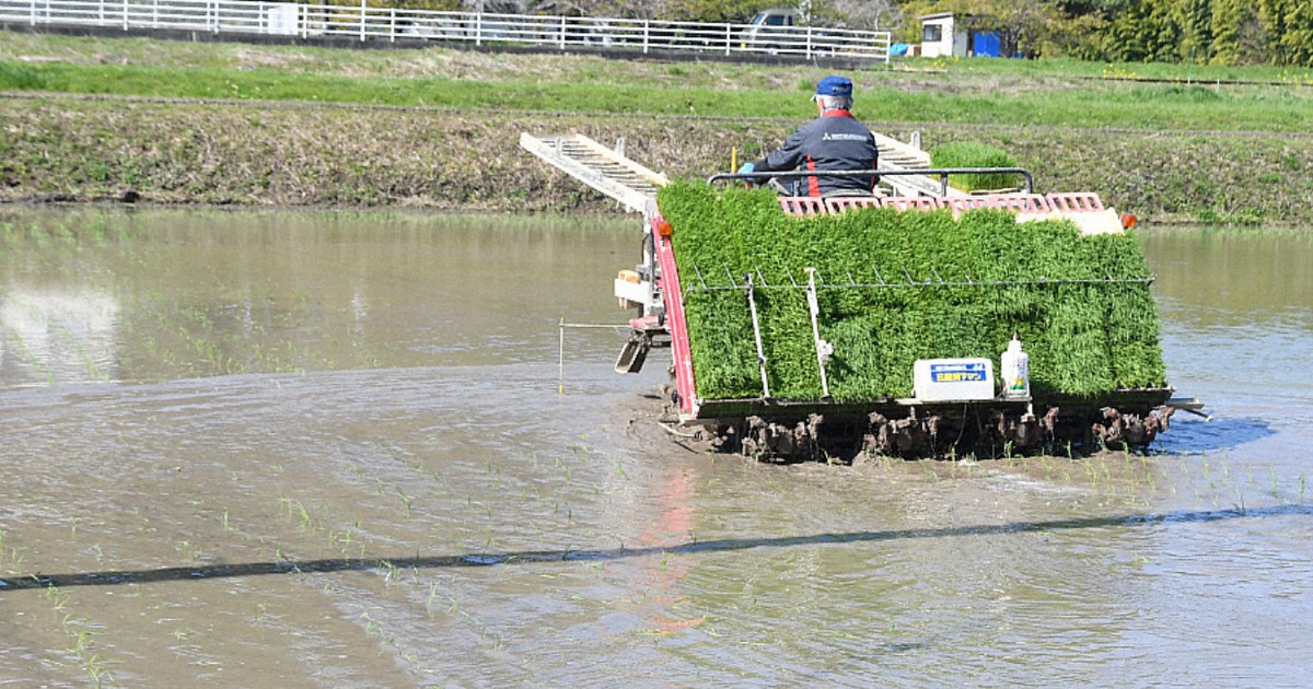 「今年もおいしいお米を」　千葉・いすみで田植え始まる