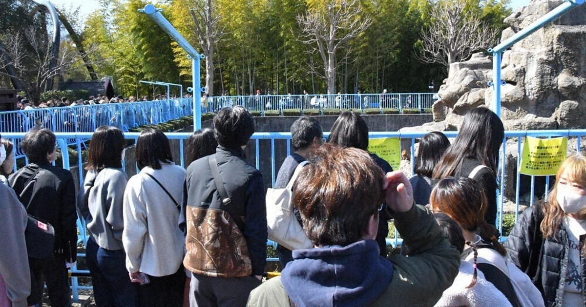 市川市動植物園のニホンザルが人気！推し活を楽しむ方法
