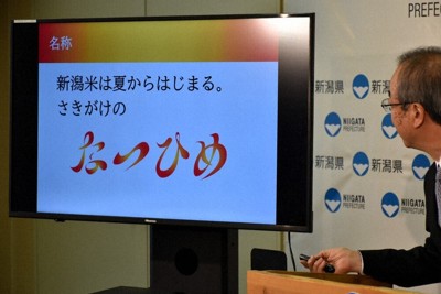新名称「なつひめ」を発表する花角英世知事＝新潟県庁で2026年3月25日、木下訓明撮影