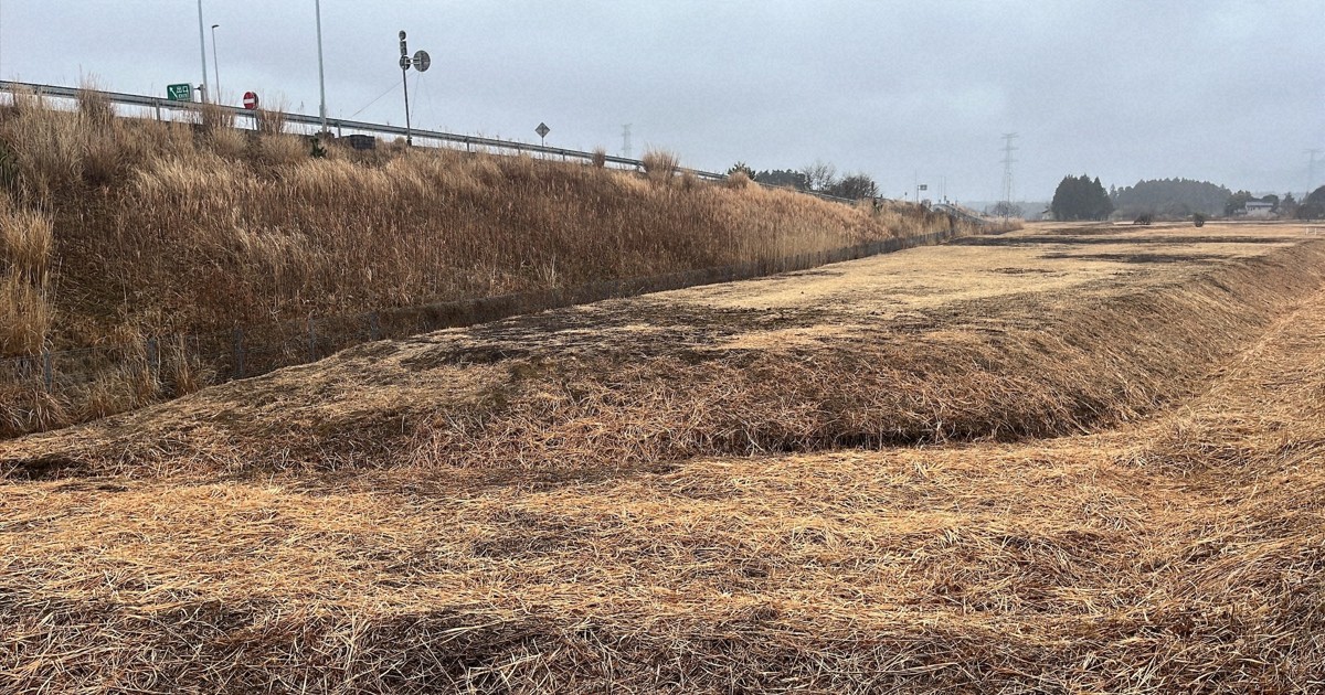 「年270万人で復興加速」　コンサル委託の道の駅計画は妥当か