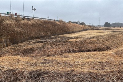 福島県大熊町の道の駅の建設予定地。震災前は田んぼが広がっていた＝福島県大熊町野上の常磐道大熊インターチェンジ付近で2026年2月27日、最上和喜撮影