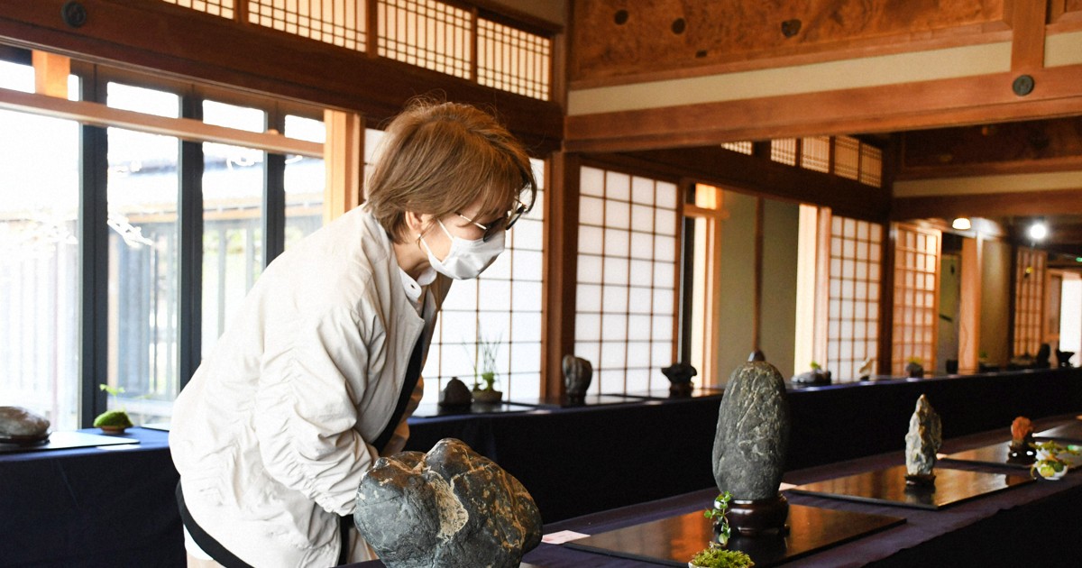 無加工で自然な石の模様、形を楽しんで　高知で「鑑賞石」の展覧会