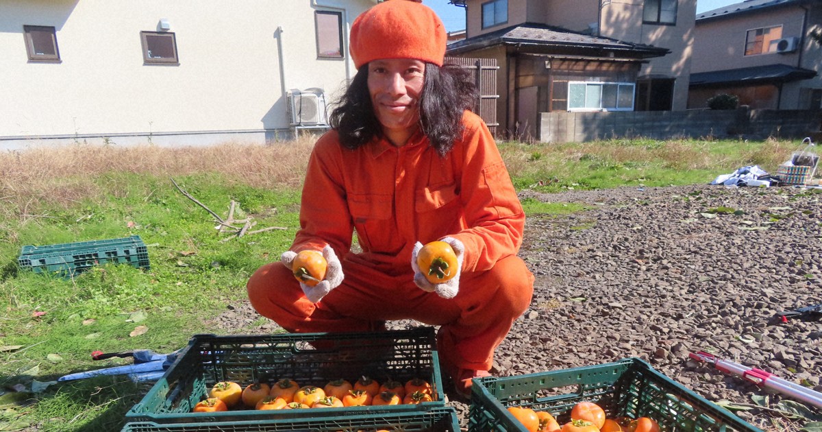「柿の実が泣いている」　人口減の秋田で始めた放置柿ビジネス