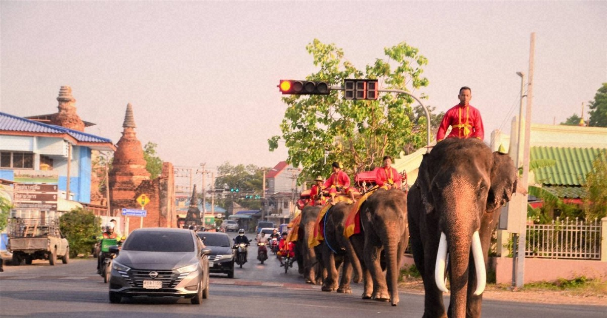 ＜QAで解説＞道路にゾウ、農作業は水牛　燃料不足のタイに異変