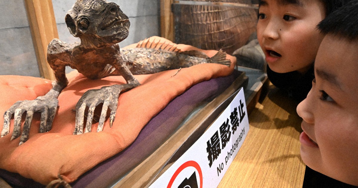 毎小ニュース：話題 カッパのミイラ？ 山形「げてもの市」 | 毎日新聞
