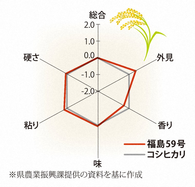 猛暑でも品質落ちにくいコメ　15年試行錯誤でたどり着く　福島