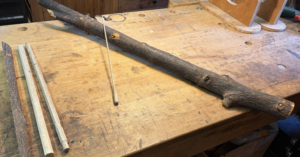 ヘイワノ音色導いて　長崎・被爆クスノキで指揮棒　5月お披露目