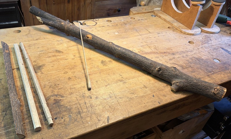 ヘイワノ音色導いて　長崎・被爆クスノキで指揮棒　5月お披露目