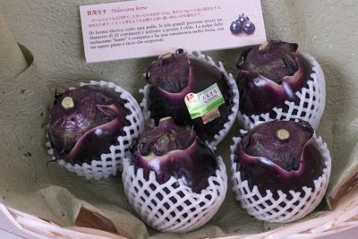 バチカン美術館で展示された「賀茂なす」＝2018年5月14日午後6時34分、玉木達也撮影