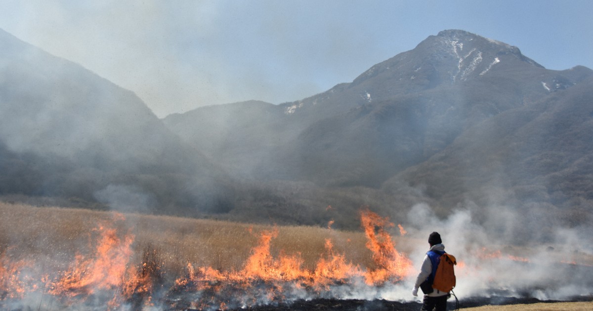 Easy Japanese news in translation: Controlled burning held at marsh in Oita Prefecture