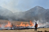 (Mainichi/Kei Tsuchiya)