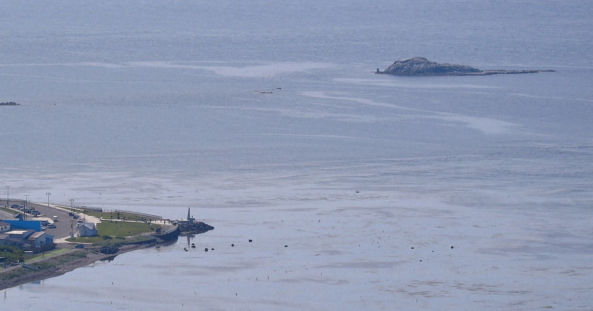 北海道・稚内で漂流のダイバー9人を救助　全員命に別条なし