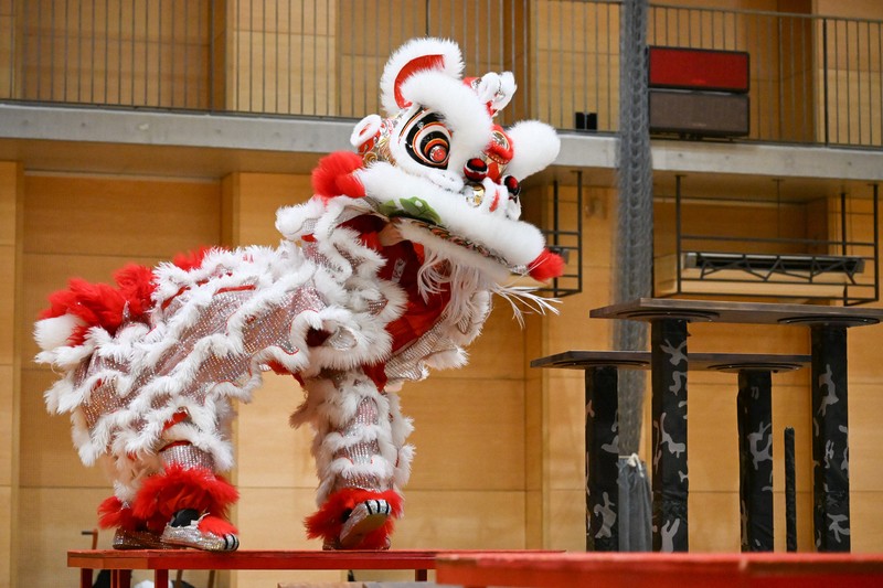 春節でおなじみ、中華獅子舞　横浜で5日に世界大会　日本初開催