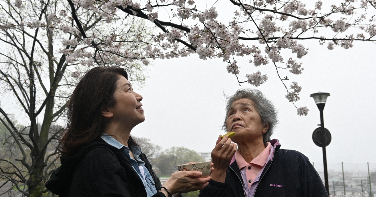 「お花見」で高齢者の外出支援　横浜の事業所がサービス開始
