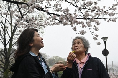 桜を見ながらお菓子を食べる和田千秋さん（右）と、支援スタッフの高山裕子さん＝横浜市神奈川区の神の木公園で2026年3月31日午後3時25分、清水夏妃撮影
