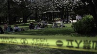 People sit down for a picnic outside a cordoned-off area set up to inspect the health of cherry blossom trees at Kinuta Park in Tokyo, April 3, 2026. (AP Photo/Mayuko Ono)