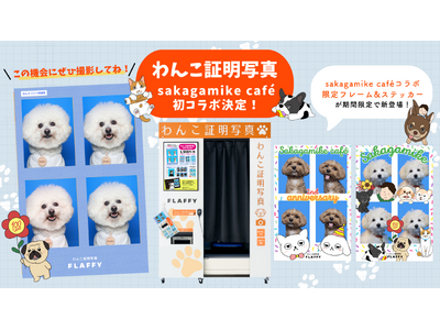 米プログレ Pavlov’s Dog 4タイトル 紙ジャケットボックスセット パブロフス・ドッグ (Pavlov's Dog) 名盤 最新リマスターボックス