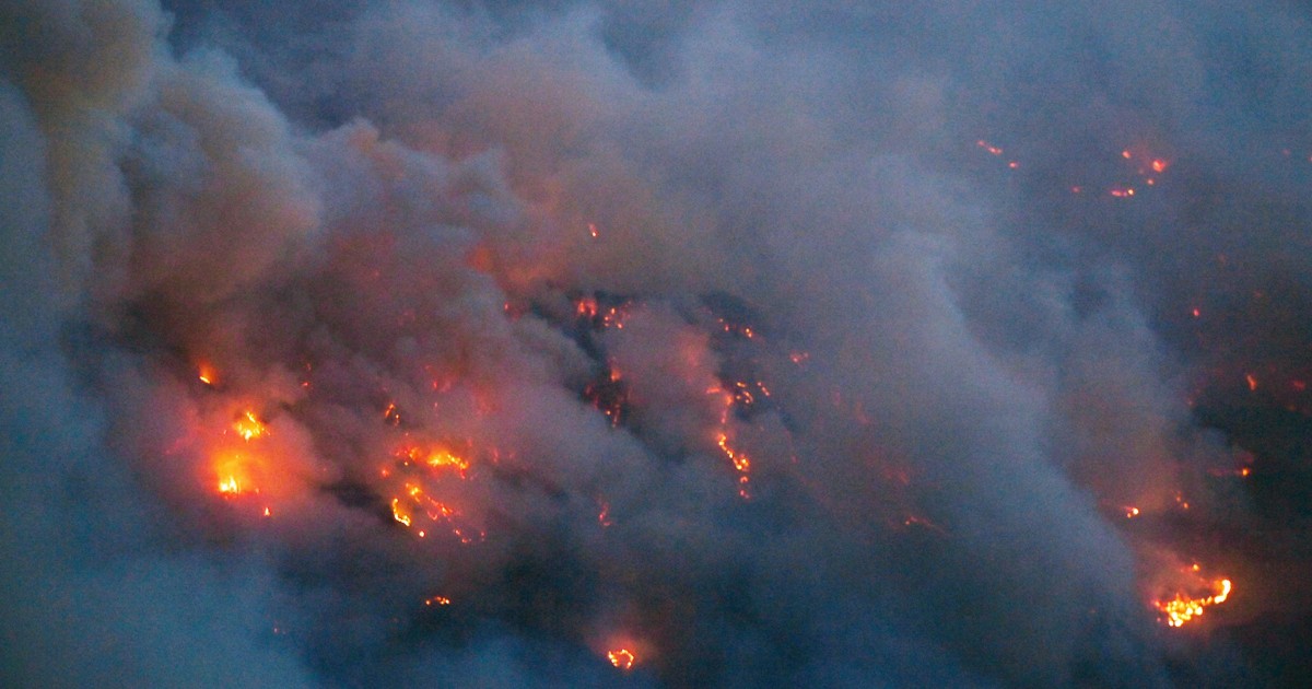 大規模な山火事、世界で「同時多発」の恐れ　離れた場所でなぜ？