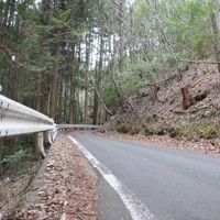 行方不明になった安達結希さんのリュックが見つかった峠道の周辺。道幅は狭く、昼間でも薄暗い＝京都府南丹市で2026年4月4日午前10時6分、安徳祐撮影