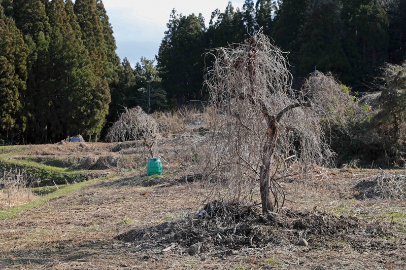 能登半島地震で被災した石川県輪島市町野町金蔵地区。地区の住民の女性によると、地震の前はこの場所で住民らが稲作をしていたという。地震後は住民らが地区を離れたため、誰も稲作をする人はいなくなった＝2026年3月11日、岩本一希撮影