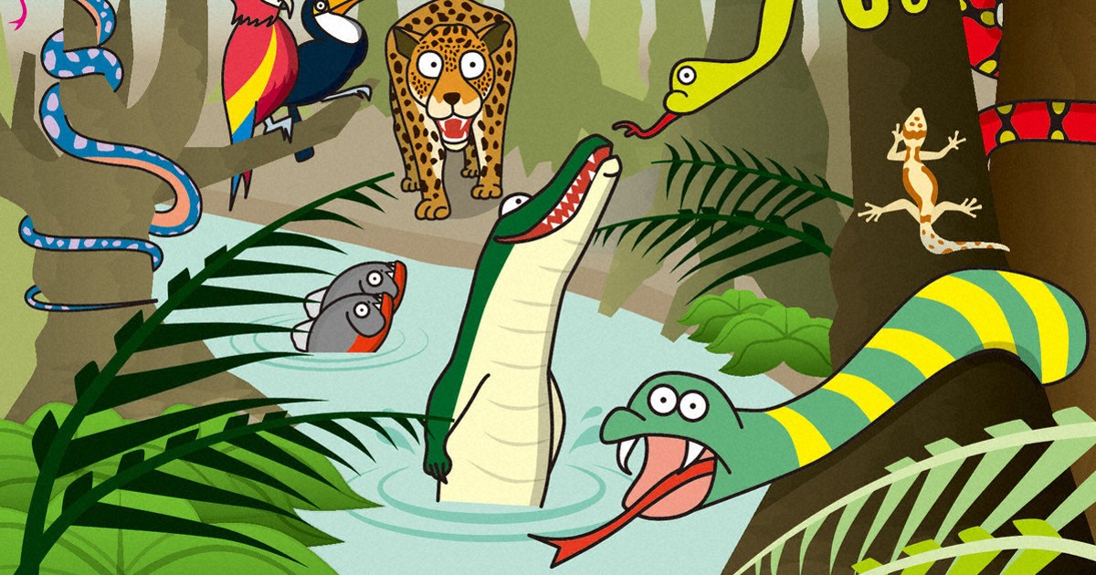 look:アリゲーター?　クロコダイル?　英語で間違いさがし