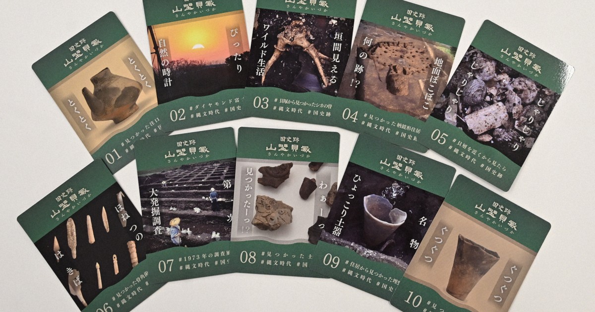 伊是名貝塚ー沖縄県伊是名貝塚の調査と研究ー 食べ物から見た貝塚人と現代人 | 学芸員コラム | 沖縄県立博物館