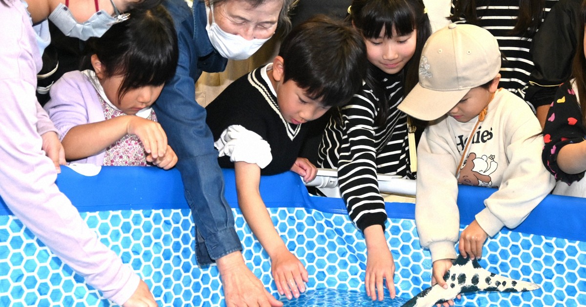 Realistic robot modeled after ancient marine reptile swims at west Japan museum