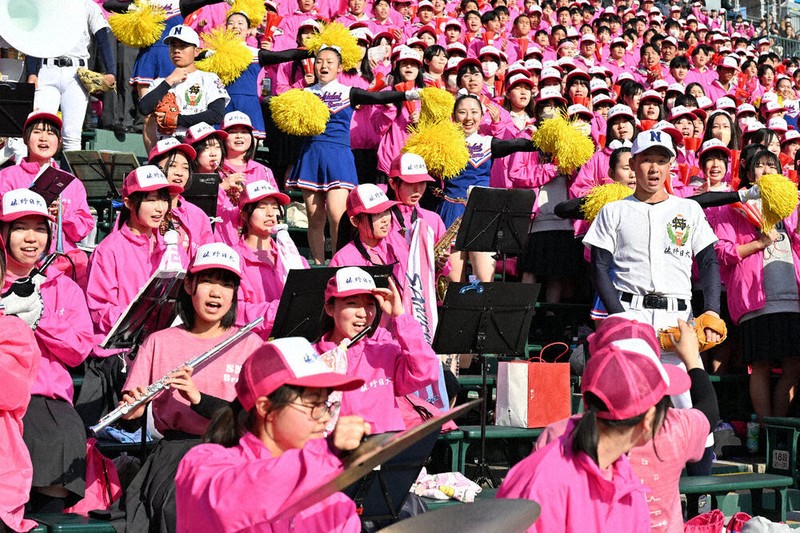 アルプススタンドで応援する佐野日大の生徒たち＝阪神甲子園球場で2026年3月23日、三浦研吾撮影