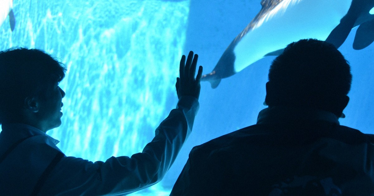 「イルカみたいなジャンプを」　フィギュア佐藤駿が一日水族館長