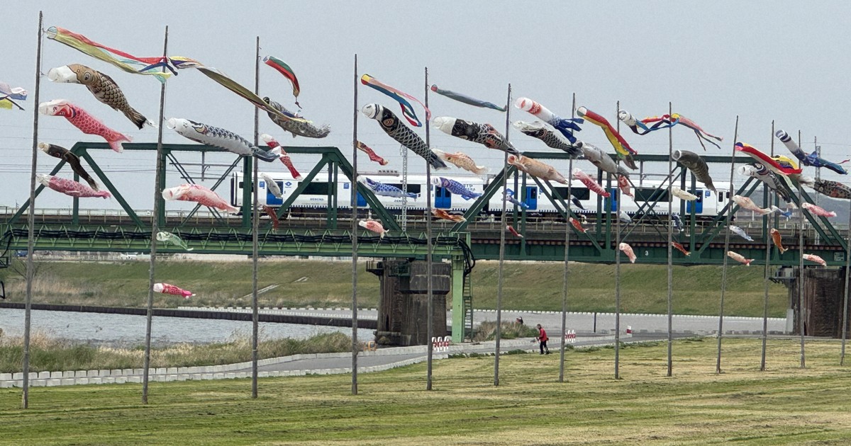 使われなくなったこいのぼり120匹、河川敷に　福岡・遠賀川