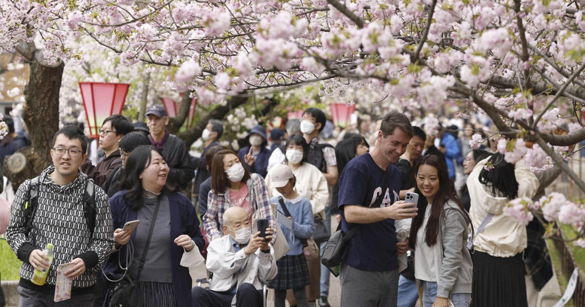 Cherry blossom viewing starts at Japan Mint in Osaka