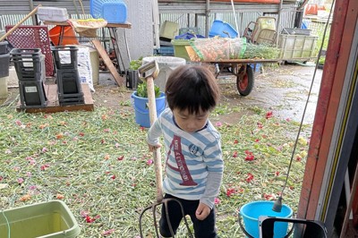 温室の作業小屋で、農具を使って掃除しているつもりの長男＝愛知県内で2025年5月10日午前10時半、町田結子撮影